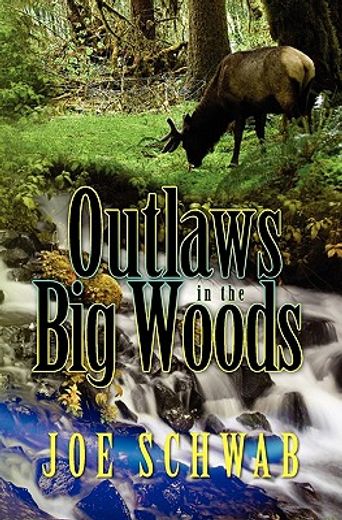 outlaws in the big woods