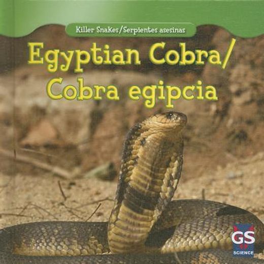 egyptian cobra / cobra egipcia
