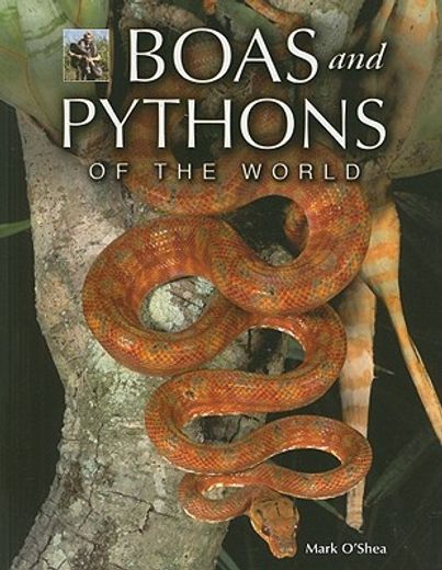 boas and pythons of the world