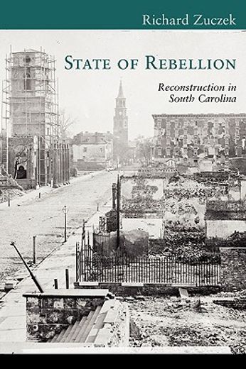 state of rebellion,reconstruction in south carolina