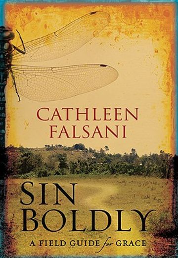 sin boldly,a field guide for grace