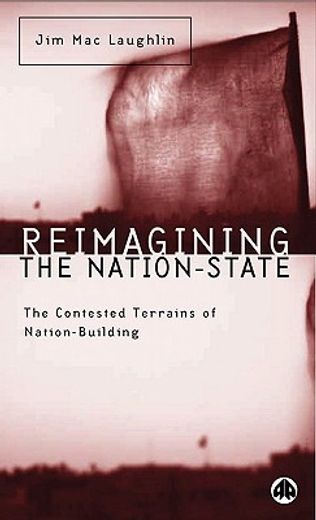 reimagining the nation state,the contested terrains of nation building