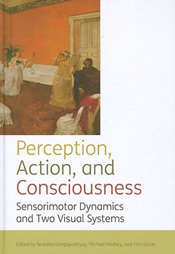 perception, action, and consciousness,sensorimotor dynamics and two visual systems