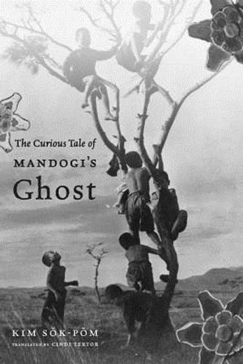 the curious tale of mandogi´s ghost