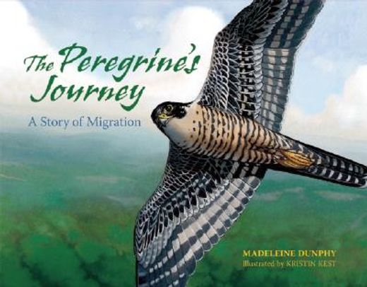 the peregrine´s journey,a story of migration (en Inglés)