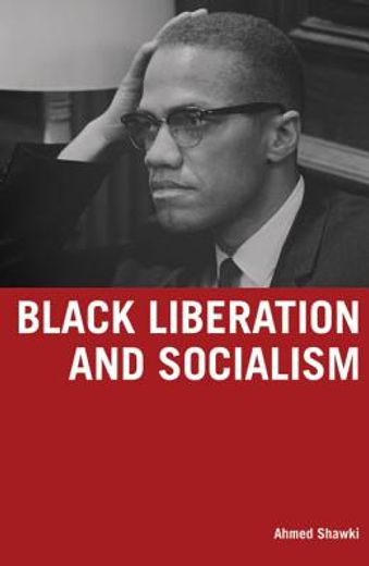 black liberation and socialism