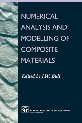numerical analysis and modelling of composite materials (en Inglés)