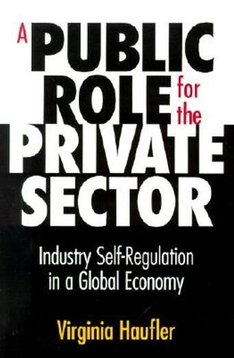 a public role for the private sector,industry self-regulation in a global economy