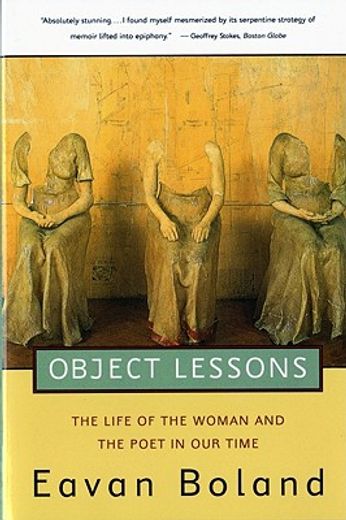 object lessons,the life of the woman and the poet in our time (en Inglés)