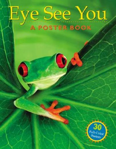 eyes see you,a poster book