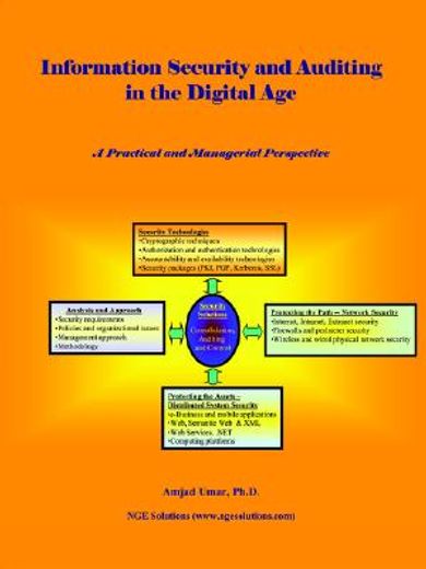 information security and auditing in the digital age,a practical and managerial perspecive