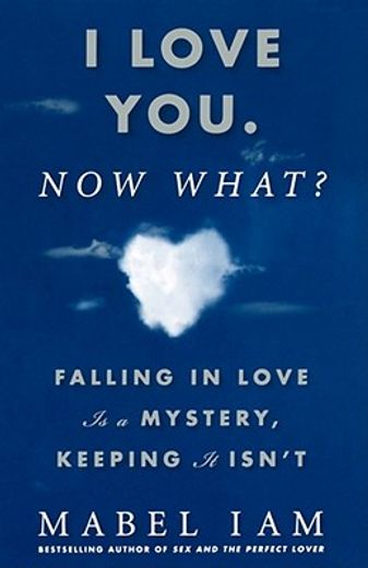i love you. now what?,falling in love is a mystery, keeping it isn´t (in English)
