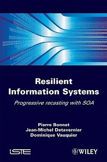 Sustainable It Architecture: The Progressive Way of Overhauling Information Systems with SOA (in English)