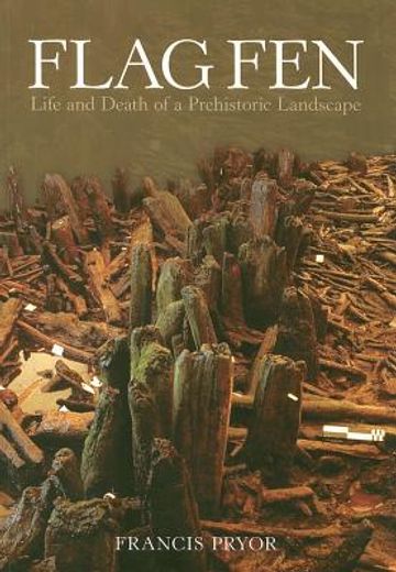 flag fen,life and death of a prehistoric landscape