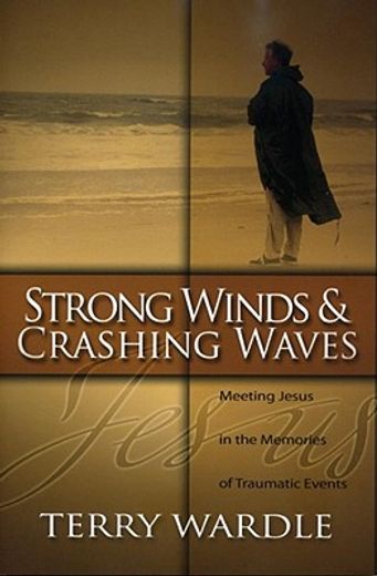 strong winds & crashing waves,meeting jesus in the memories of traumatic events