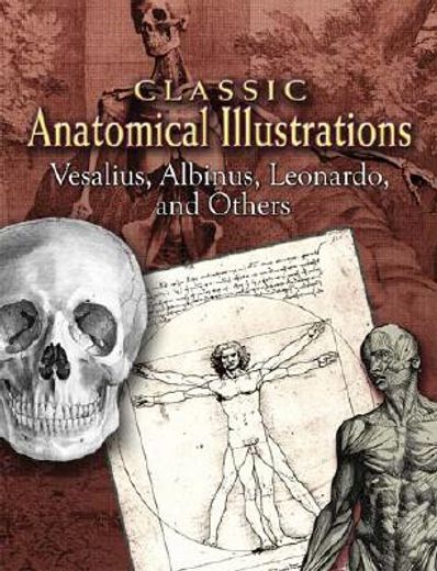 classic anatomical illustrations,vesalius, albinus, leonardo and others (en Inglés)
