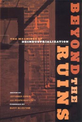 beyond the ruins,the meanings of deindustrialization