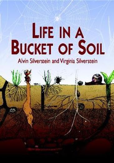life in a bucket of soil (in English)