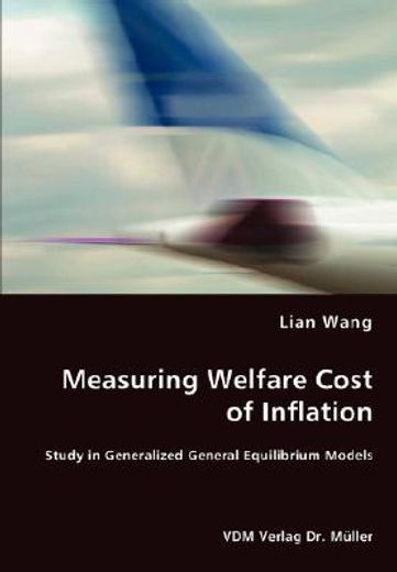 measuring welfare cost of inflation