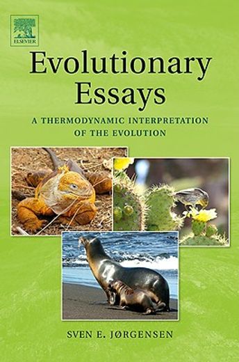 evolutionary essays,a thermodynamic interpretation of the evolution
