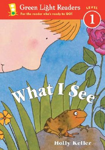 what i see (in English)