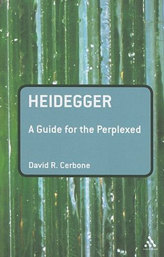 heidegger,a guide for the perplexed