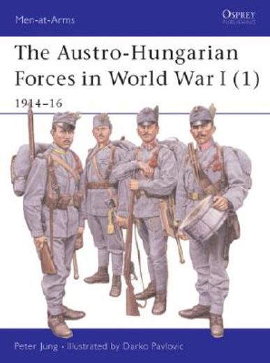austro hungarian forces in world war i,1914-16