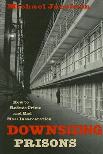 downsizing prisons,how to reduce crime and end mass incarceration