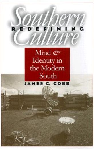 redefining southern culture,mind and identity in the modern south