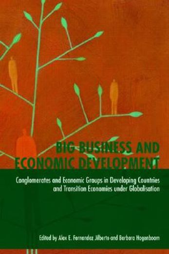 big business and economic development,conglomerates and economic groups in developing countries and transition economies under globalisati