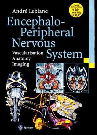 encephalo-peripheral nervous system,vascularisation, anatomy, imaging