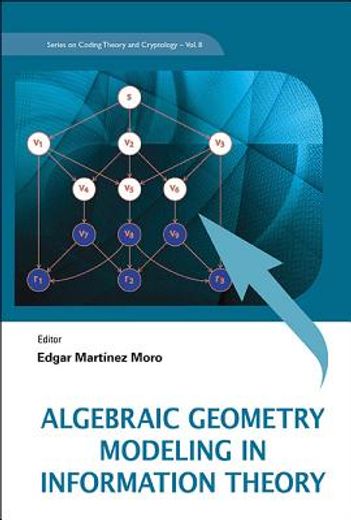 algebraic geometry modeling in information theory