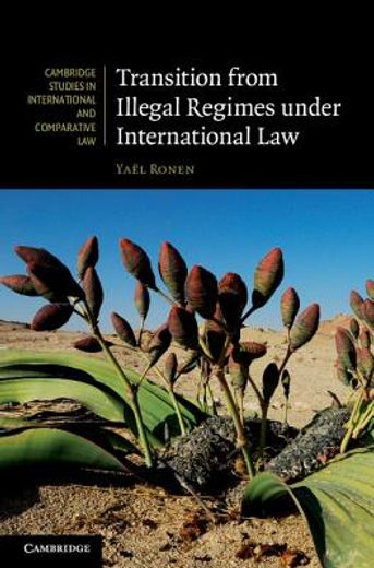 transition from illegal regimes in international law