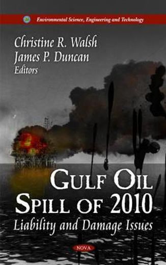 gulf oil spill of 2010,liability and damage issues