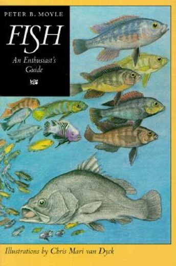 fish,an enthusiast´s guide