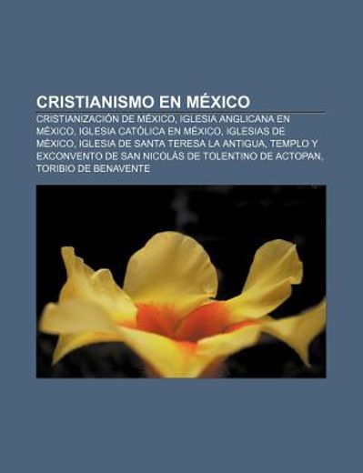 cristianismo en mexico: cristianizaci n de mexico, iglesia anglicana en mexico, iglesia cat lica en mexico, iglesias de mexico