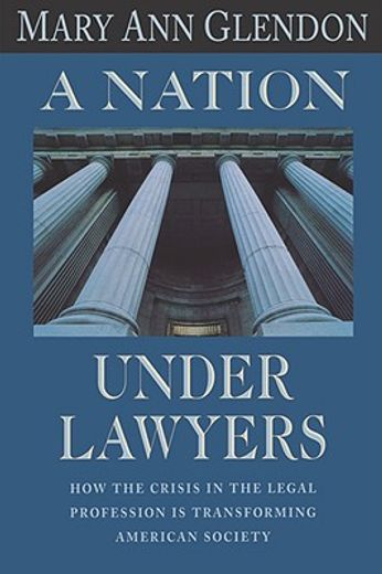 a nation under lawyers,how the crisis in the legal profession is transforming american society