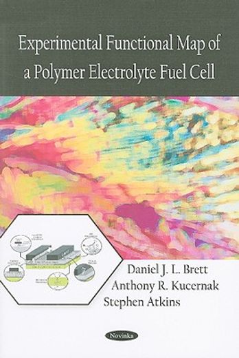 experimental functional map of a polymer electrolyte fuel cell