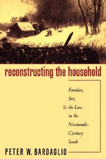 reconstructing the household,families, sex, and the law in the nineteenth-century south