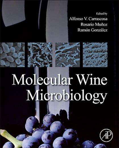 molecular wine microbiology