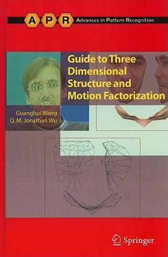 guide to three dimensional structure and motion factorization