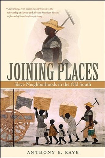 joining places,slave neighborhoods in the old south (in English)