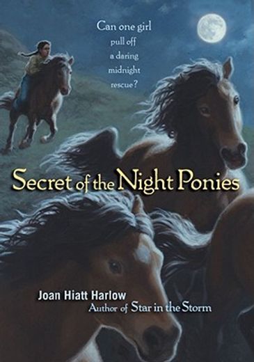Secret of the Night Ponies (en Inglés)