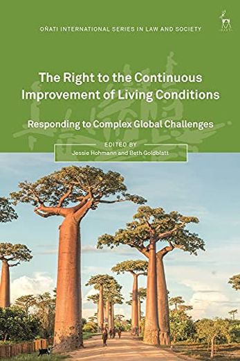 The Right to the Continuous Improvement of Living Conditions: Responding to Complex Global Challenges (Oñati International Series in law and Society) (en Inglés)