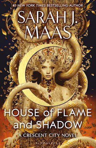 House of Flame and Shadow (in English)