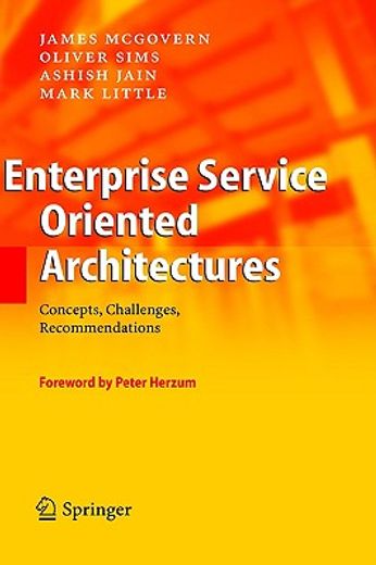 enterprise service oriented architectures,concepts, challenges, recommendations