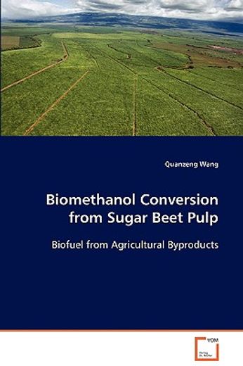 biomethanol conversion from sugar beet pulp
