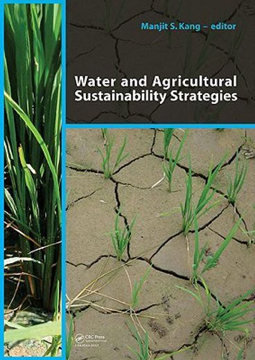 water and agricultural sustainability strategies