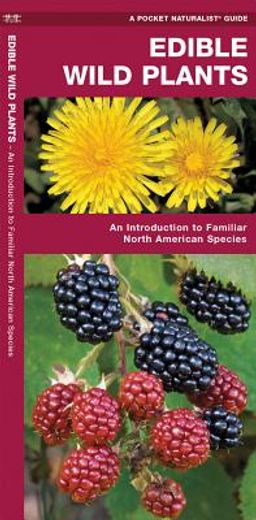 edible wild plants,an introduction to familiar north american species