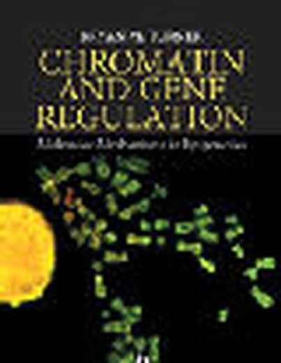 chromatin and gene regulation,mechanisms in epigenetics